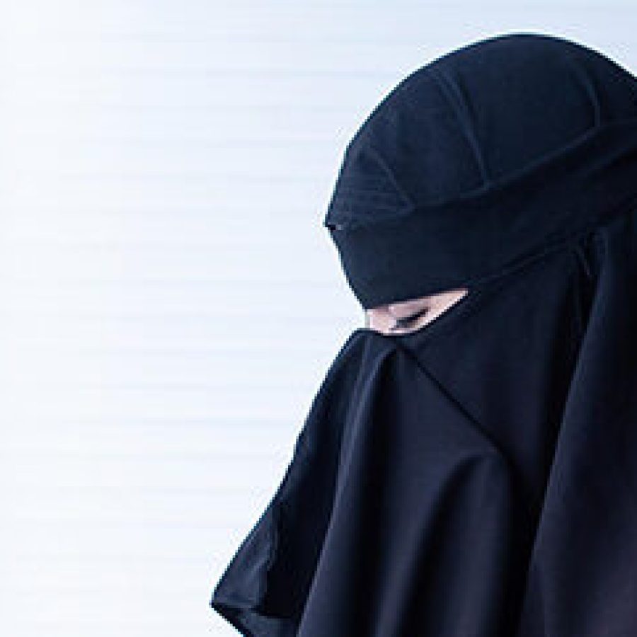 مشاريع الإطعام